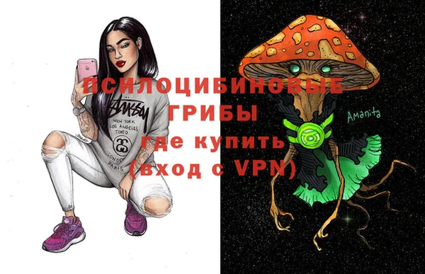 сатива Абдулино