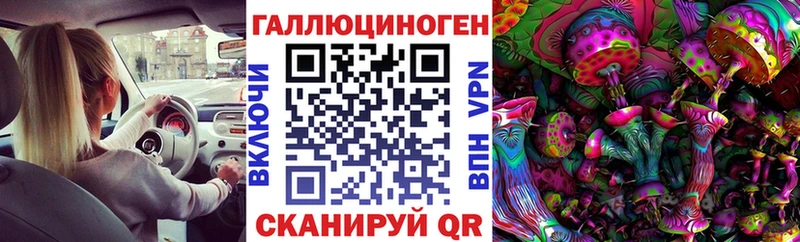 Псилоцибиновые грибы Psilocybe  hydra онион  Кызыл 